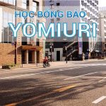 hoc-bong-bao-yomiuri